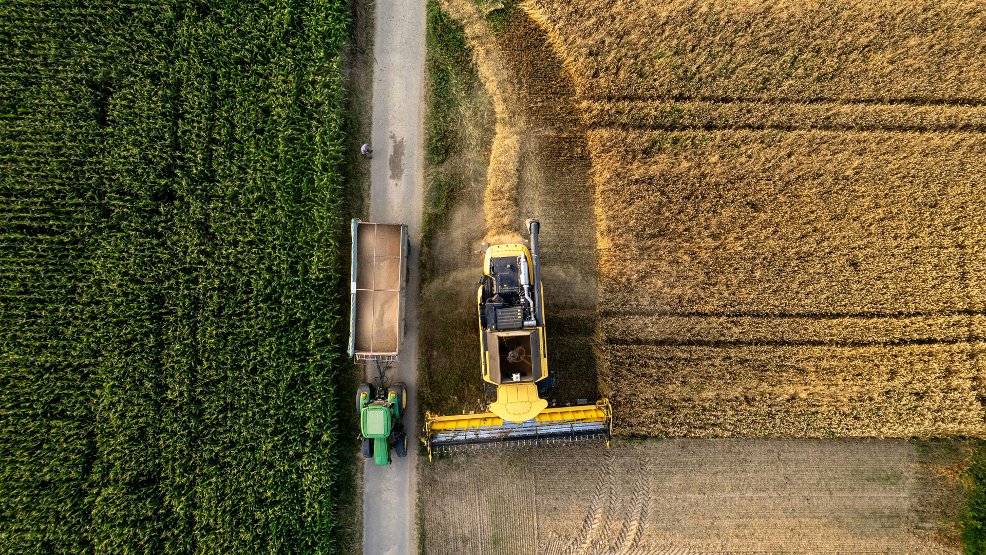 Image for Article: Future of Farming